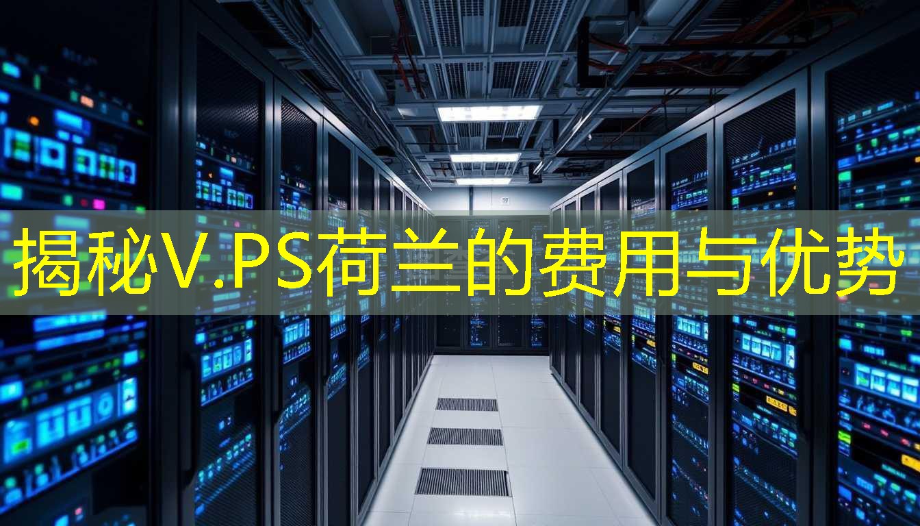 揭秘V.PS荷兰的费用与优势