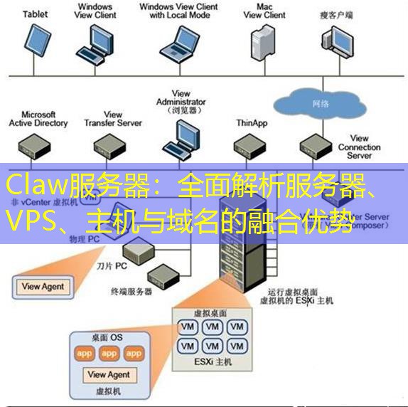 Claw服务器：全面解析服务器、VPS、主机与域名的融合优势