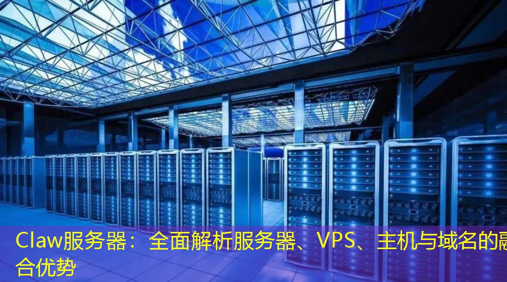 Claw服务器：全面解析服务器、VPS、主机与域名的融合优势