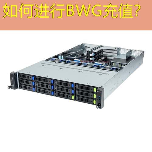 如何进行BWG充值？