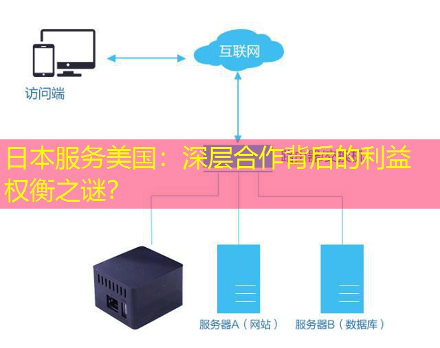 日本服务美国：深层合作背后的利益权衡之谜？