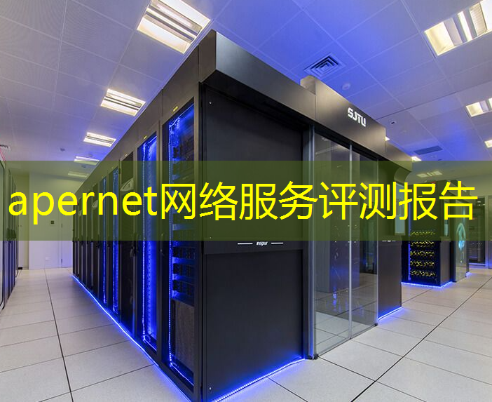 apernet网络服务评测报告