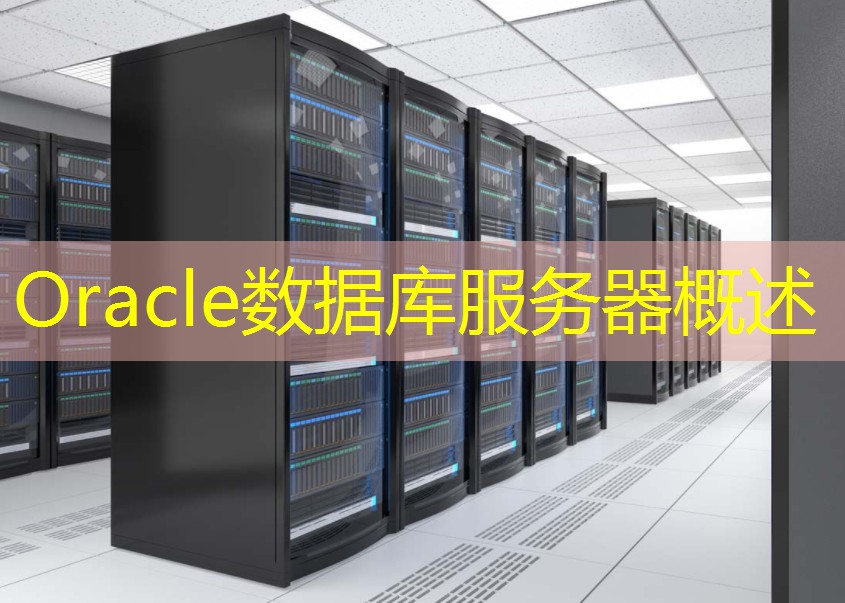 Oracle数据库服务器概述
