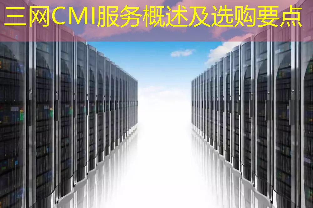 三网CMI服务概述及选购要点