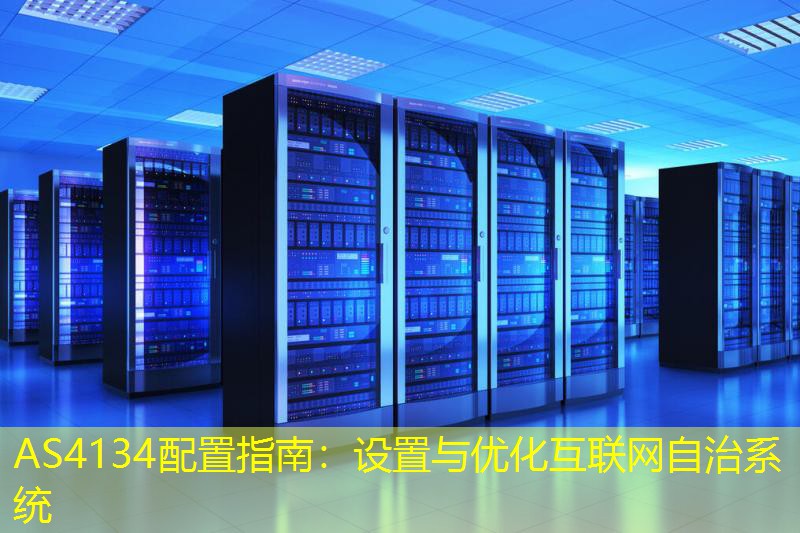 AS4134配置指南：设置与优化互联网自治系统