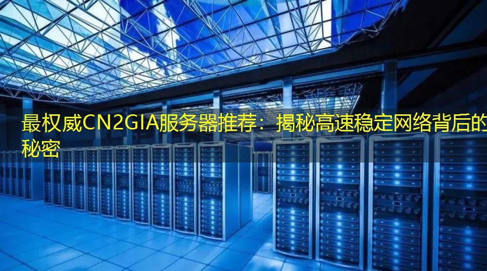 最权威CN2GIA服务器推荐：揭秘高速稳定网络背后的秘密