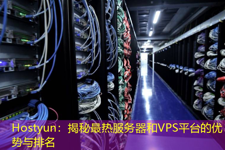 Hostyun：揭秘最热服务器和VPS平台的优势与排名