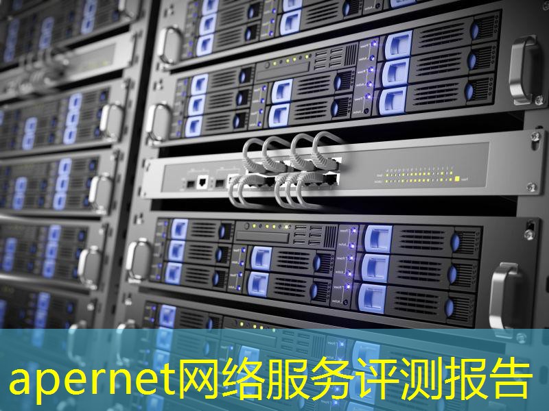 apernet网络服务评测报告