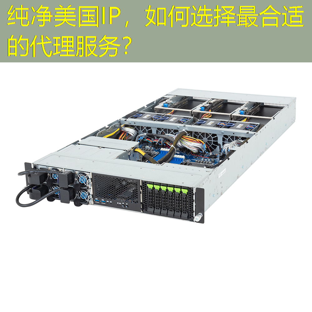 纯净美国IP，如何选择最合适的代理服务？