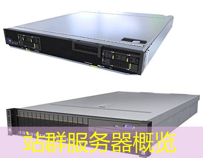 站群服务器概览