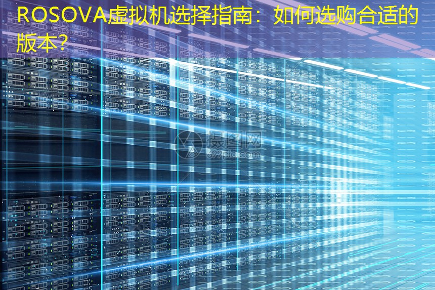 ROSOVA虚拟机选择指南：如何选购合适的版本？
