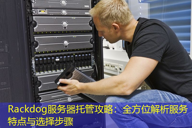 Rackdog服务器托管攻略：全方位解析服务特点与选择步骤