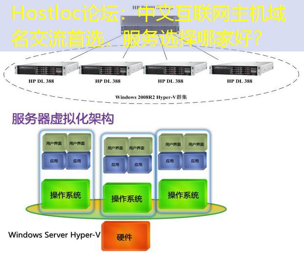 Hostloc论坛：中文互联网主机域名交流首选，服务选择哪家好？