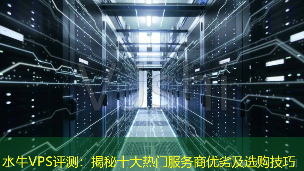 水牛VPS评测：揭秘十大热门服务商优劣及选购技巧