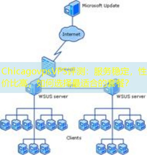 ChicagovpsVPS评测：服务稳定，性价比高，如何选择最适合的套餐？