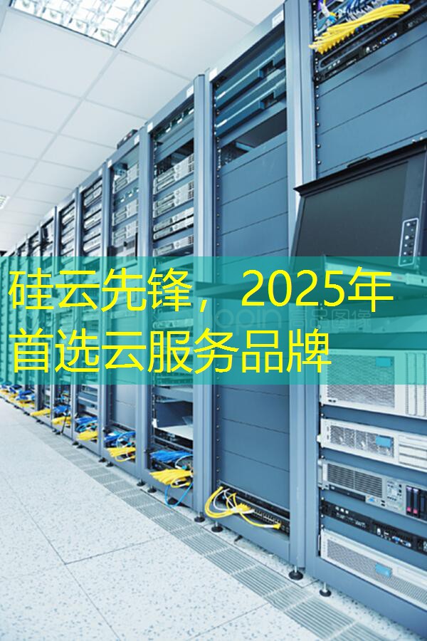 硅云先锋，2025年首选云服务品牌