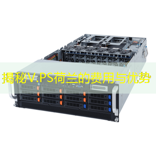 揭秘V.PS荷兰的费用与优势