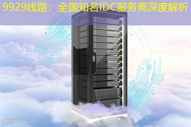 9929线路：全国知名IDC服务商深度解析