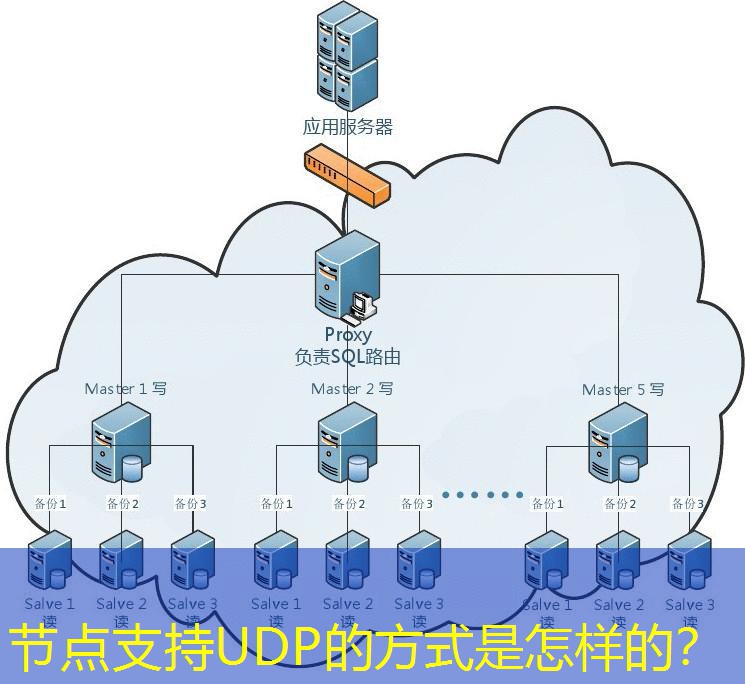节点支持UDP的方式是怎样的？