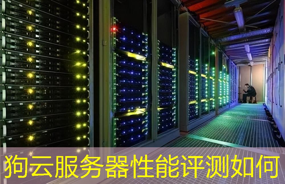 狗云服务器性能评测如何