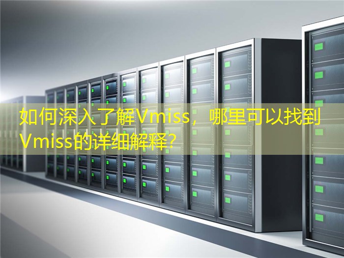 如何深入了解Vmiss，哪里可以找到Vmiss的详细解释？