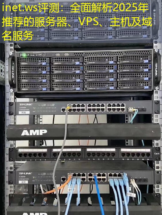inet.ws评测：全面解析2025年推荐的服务器、VPS、主机及域名服务