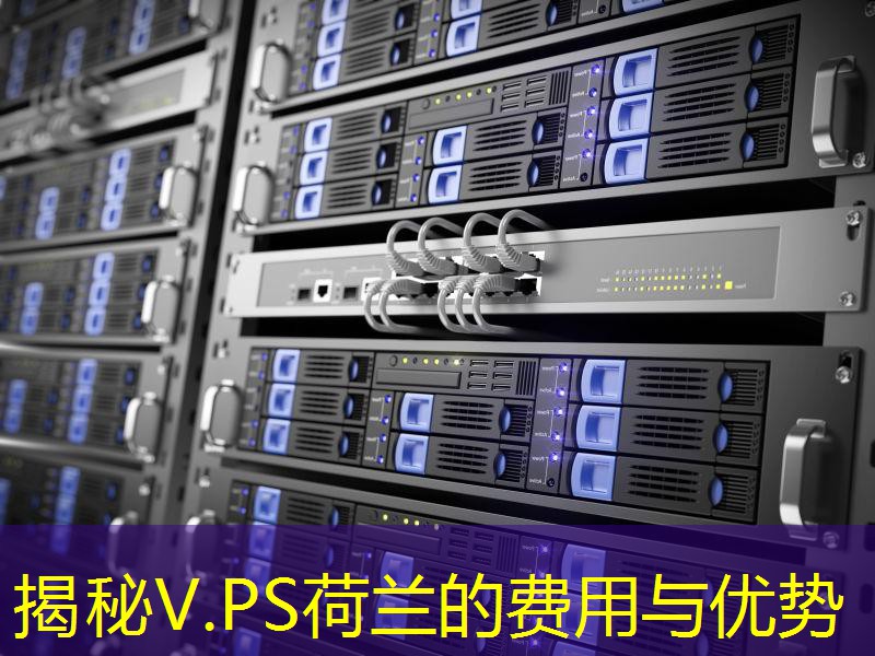 揭秘V.PS荷兰的费用与优势