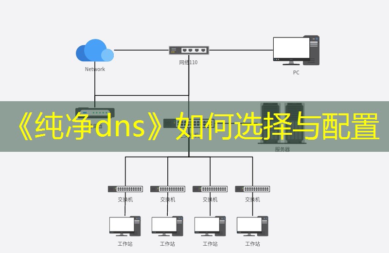 《纯净dns》如何选择与配置