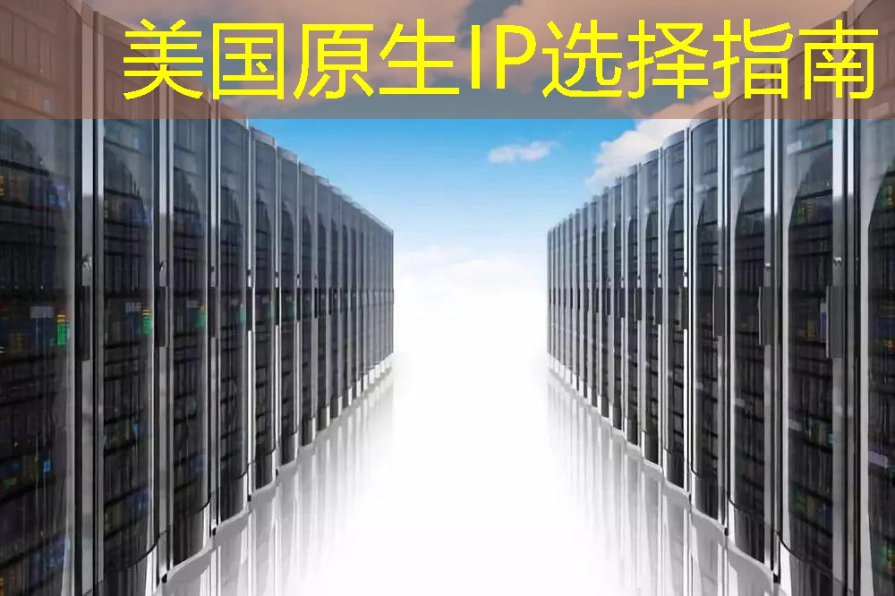 美国原生IP选择指南