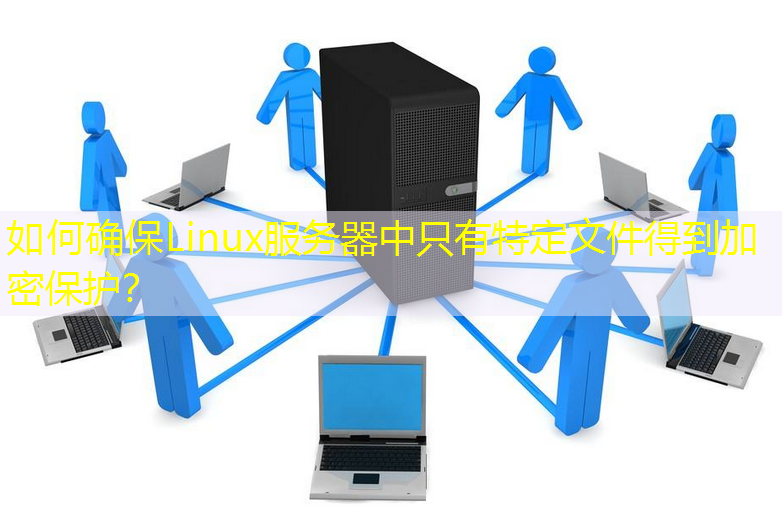 如何确保Linux服务器中只有特定文件得到加密保护？